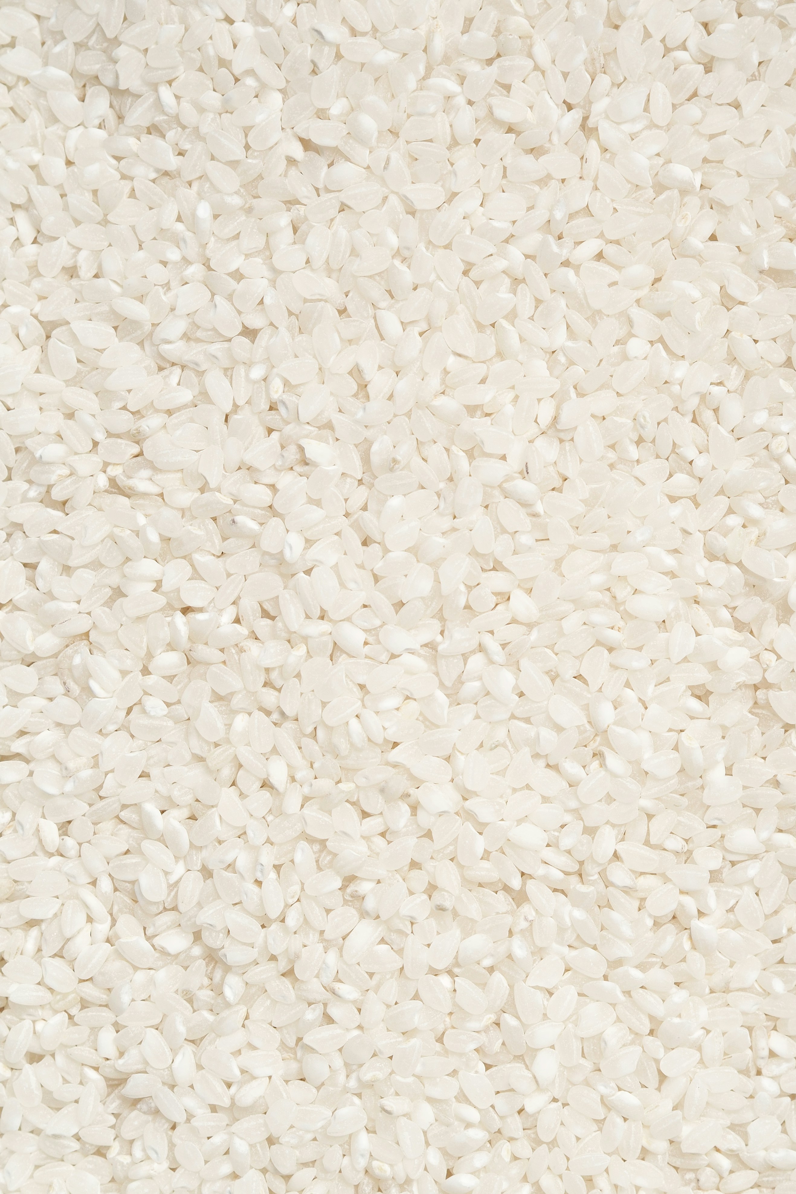 Quel riz choisir pour un riz au lait ?
